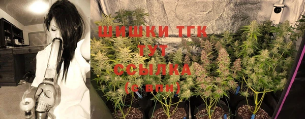 экстази Арсеньев