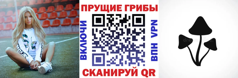 Галлюциногенные грибы Magic Shrooms  Купить  Новотитаровская 